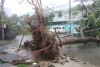 Các tỉnh thành từ Thừa Thiên-Huế đến Quảng Ngãi thiệt hại hơn 1.500 tỉ đồng do bão số 11