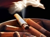 VN mất hơn 8.000 tỷ đồng mỗi năm vì thuốc lá