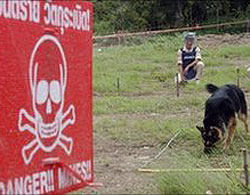 Một tấm biển cảnh báo mìn trên đồng cỏ Campuchia. Ảnh: AP.